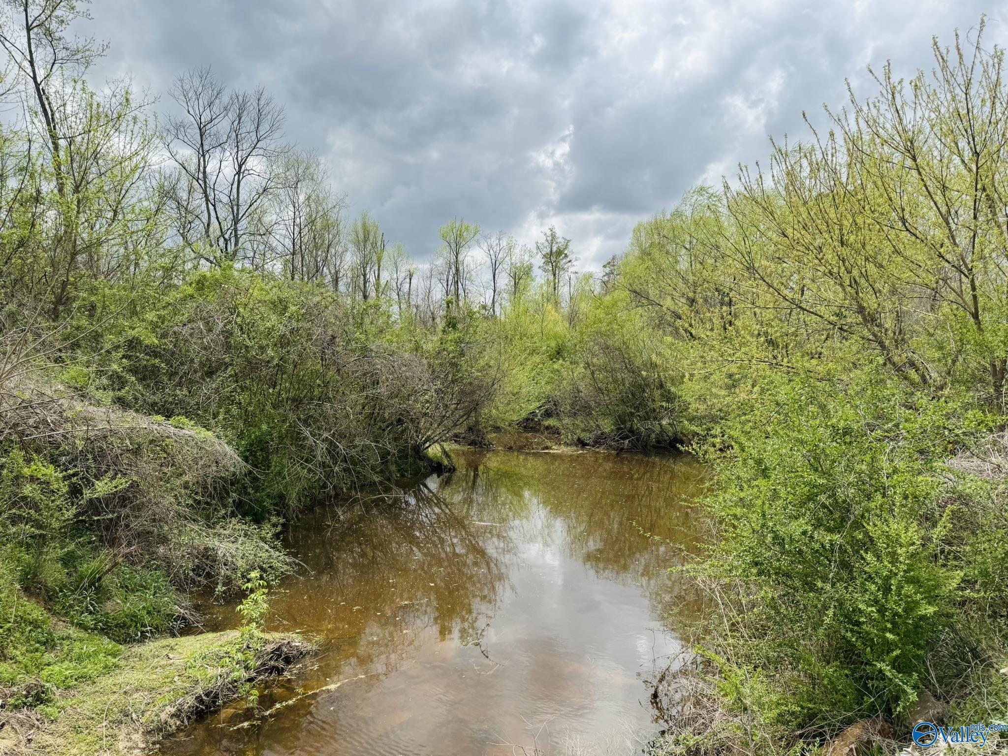4.02 Acres Liberty Hill Road, Boaz, Alabama image 14