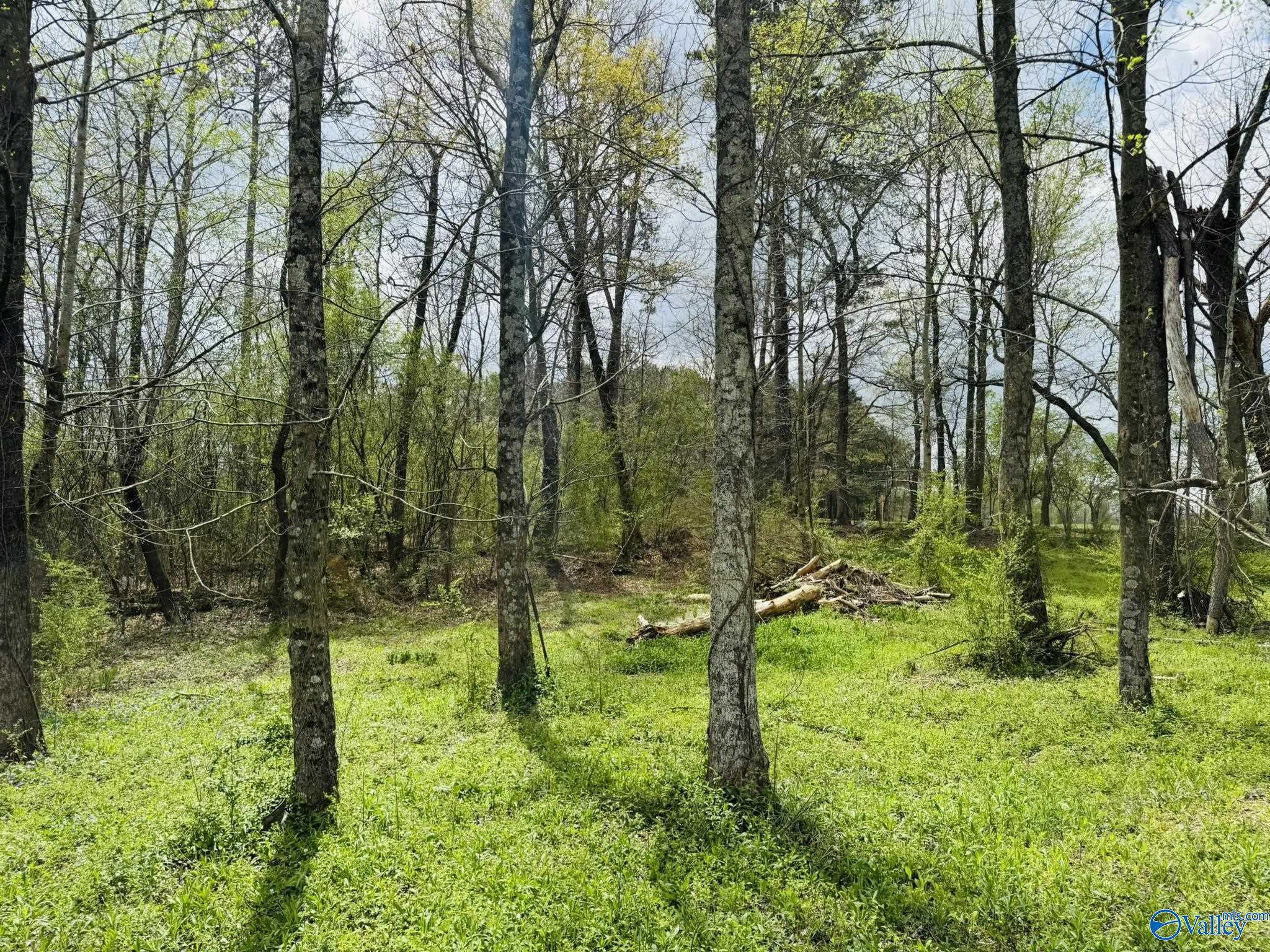 4.02 Acres Liberty Hill Road, Boaz, Alabama image 12