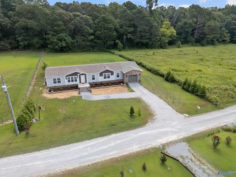 Photo of 161 County Road 1762, Baileyton, AL 35019 (MLS # 21909185)