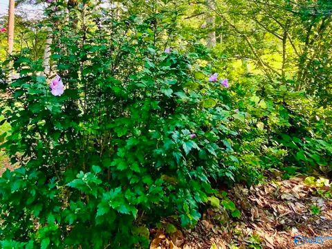 Vacant Land For Sale - 196 Space Road<br/> Bessemer, AL 35023