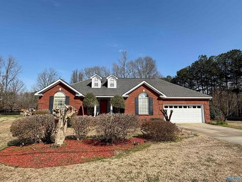 Photo of 2915 White Oak Drive, Southside, AL 35907 (MLS # 21911594)