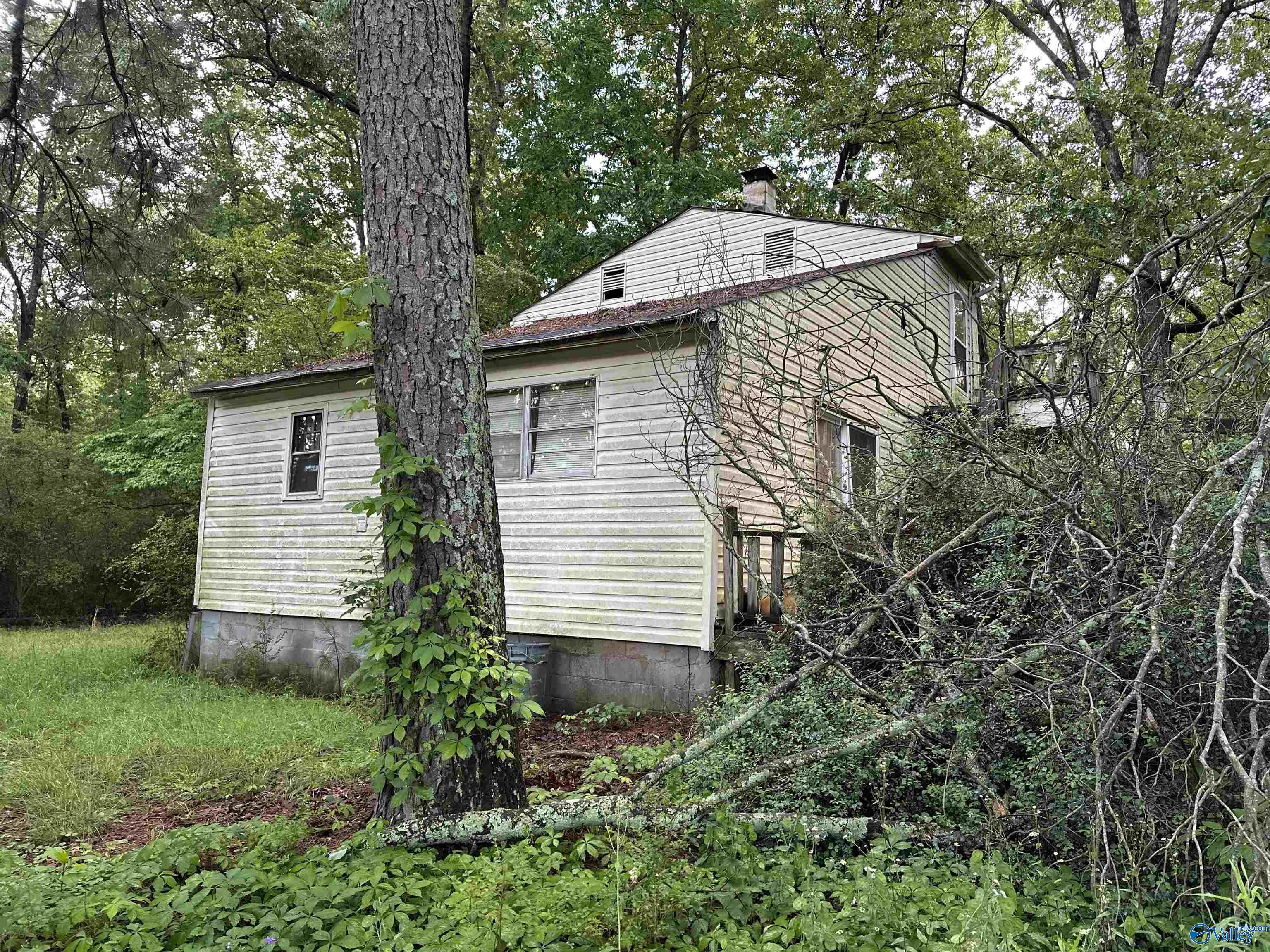 182 County Road 1839, Arab, Alabama image 5