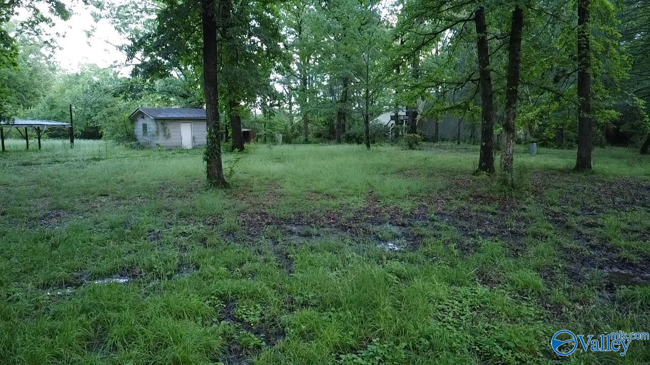 182 County Road 1839, Arab, Alabama image 2