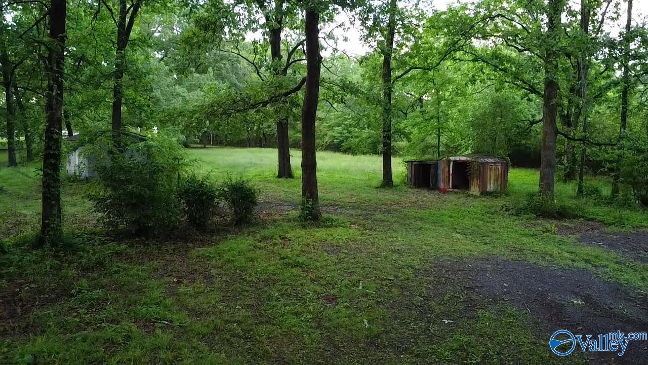 182 County Road 1839, Arab, Alabama image 4