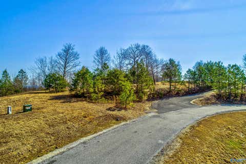 Vacant Land For Sale - LOT 23 County Road 767<br/> Cherokee County, Cedar Bluff, AL 35959