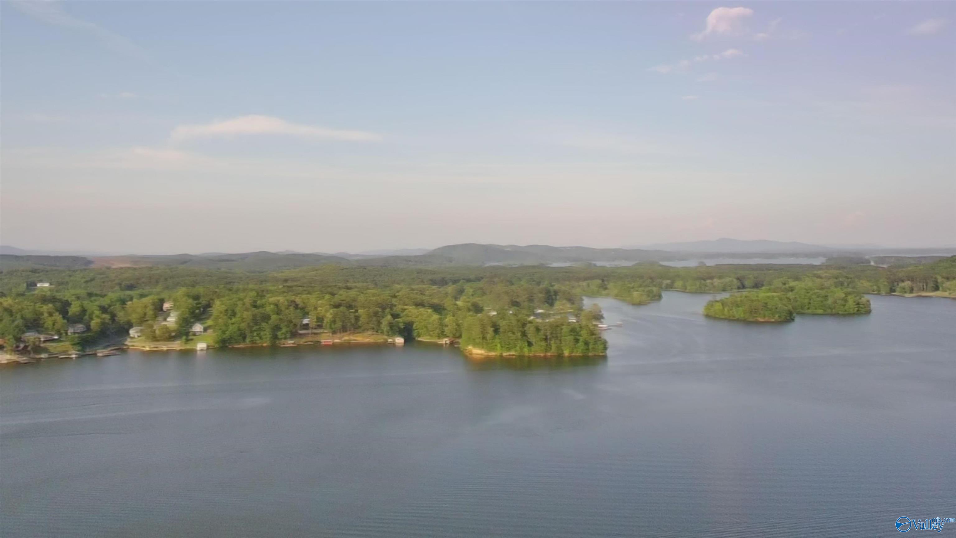 Lot 1 County Road 594, Leesburg, Alabama image 4
