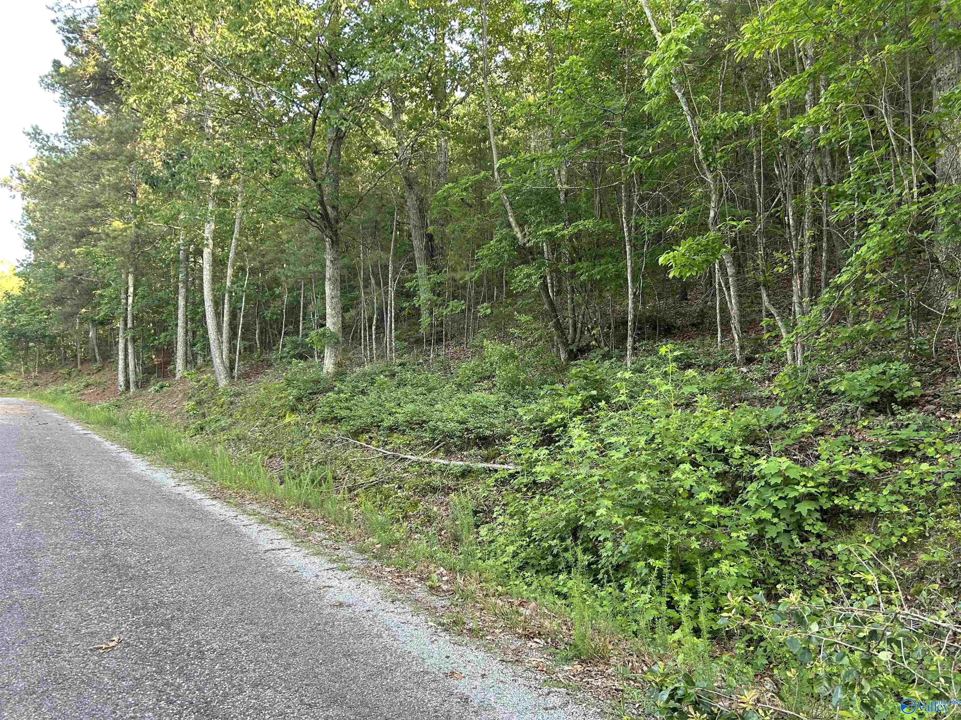 Lot 1 County Road 594, Leesburg, Alabama image 11
