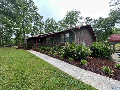 Homes For Sale - 210 Aqua Vista Drive East Dr<br/> Gadsden, AL 35901