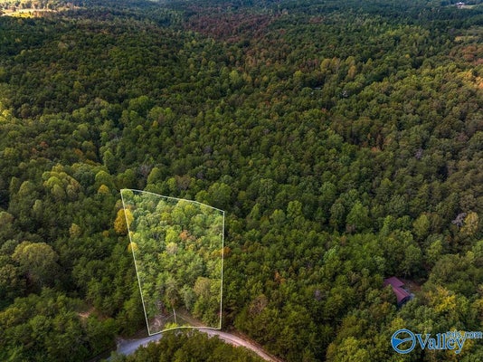 ADDRESS PRIVATE, MENTONE, AL 35984 - Image d0fa2b3722d53bbf22af84a912a4cda1/1452500414