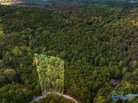 Vacant Land For Sale - TRACT 20A Road 9002<br/> Mentone, AL 35984