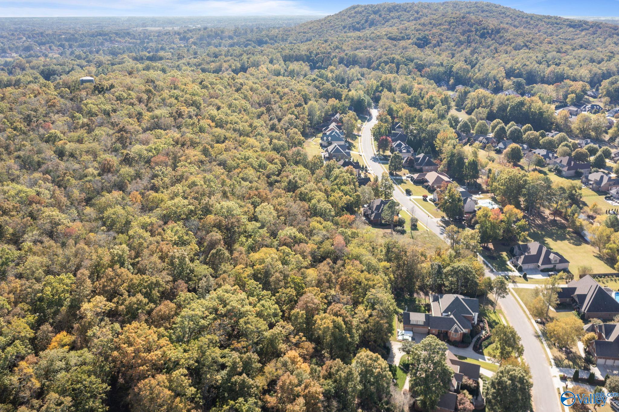 255 Wedgewood Terrace Road, Madison, Alabama image 5