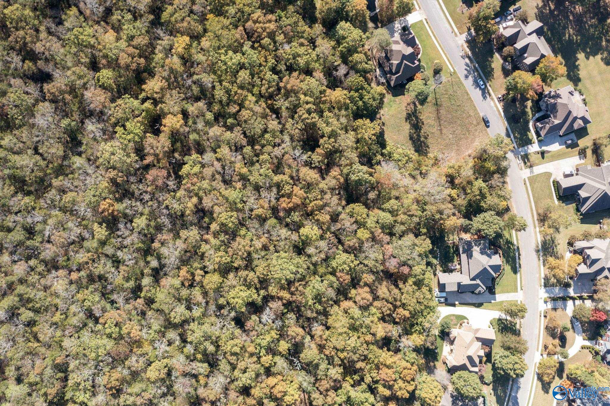 255 Wedgewood Terrace Road, Madison, Alabama image 9