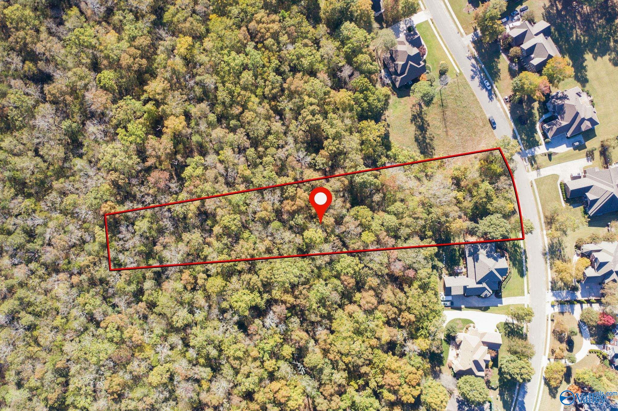 255 Wedgewood Terrace Road, Madison, Alabama image 10