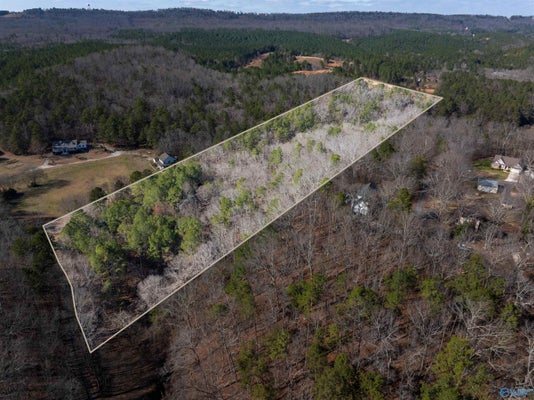 BROWDER RD NW, FORT PAYNE, AL 35968 - Image d101e4d5c1f1e32bd25068dcefecb335/1305025255