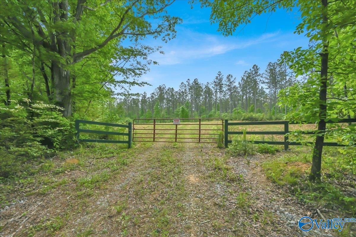 40 Acres County Road 1208, Vinemont, Alabama image 2
