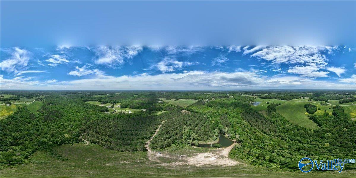 40 Acres County Road 1208, Vinemont, Alabama image 31