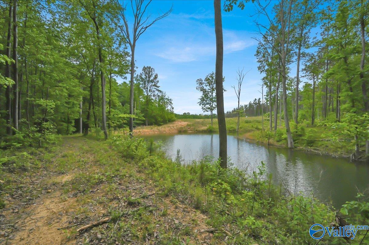 40 Acres County Road 1208, Vinemont, Alabama image 12