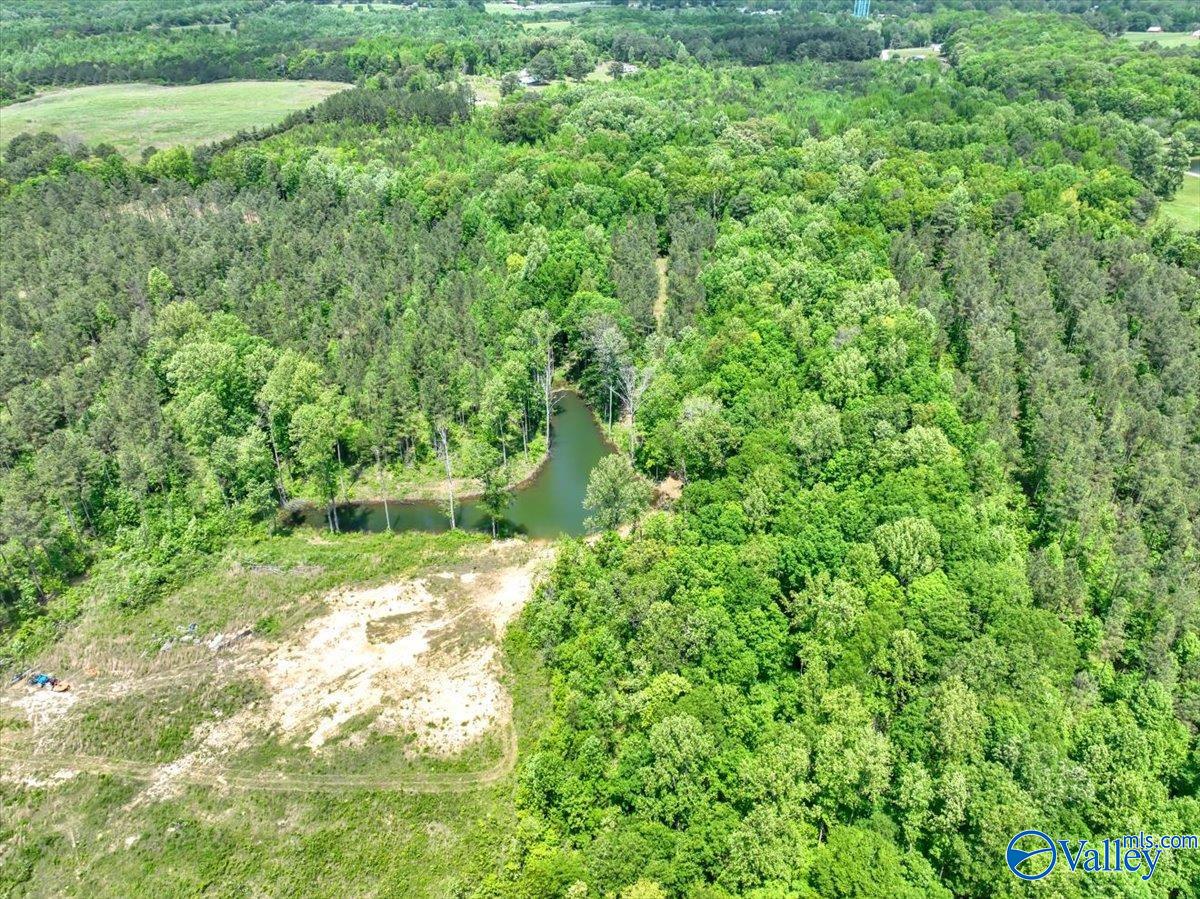 40 Acres County Road 1208, Vinemont, Alabama image 28