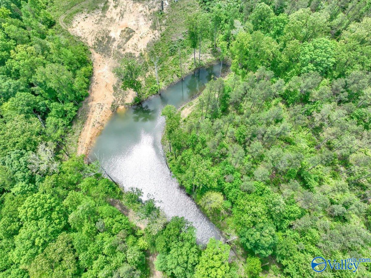40 Acres County Road 1208, Vinemont, Alabama image 25
