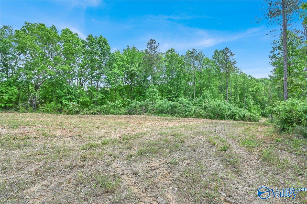 40 Acres County Road 1208, Vinemont, Alabama image 4