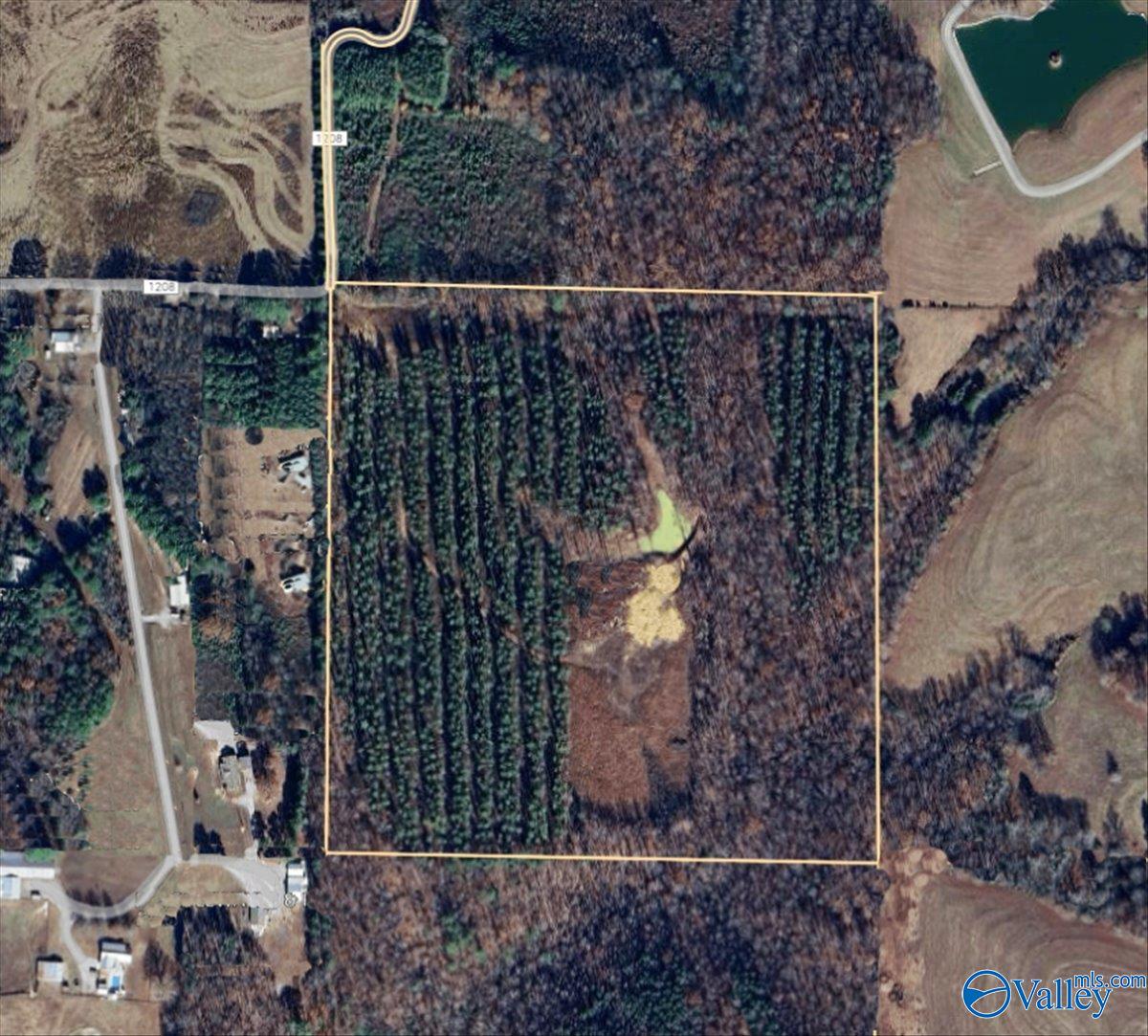 40 Acres County Road 1208, Vinemont, Alabama image 30