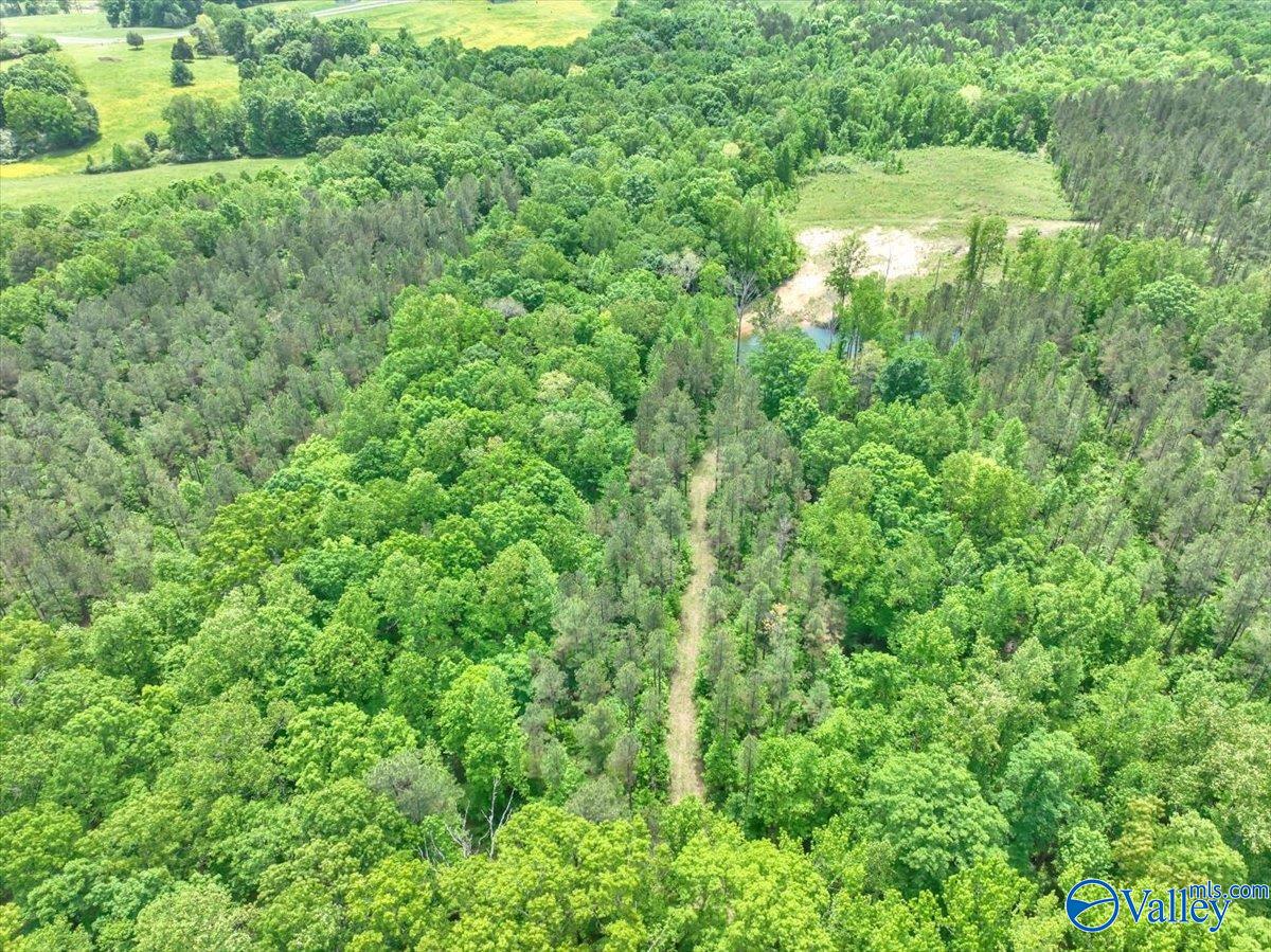 40 Acres County Road 1208, Vinemont, Alabama image 24