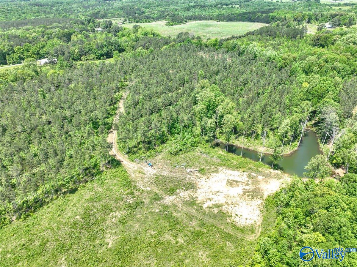 40 Acres County Road 1208, Vinemont, Alabama image 29