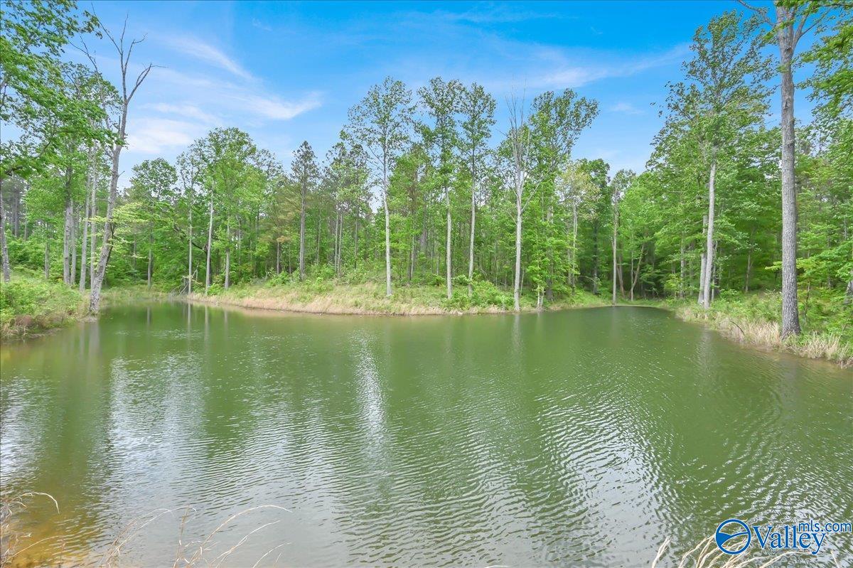 40 Acres County Road 1208, Vinemont, Alabama image 11