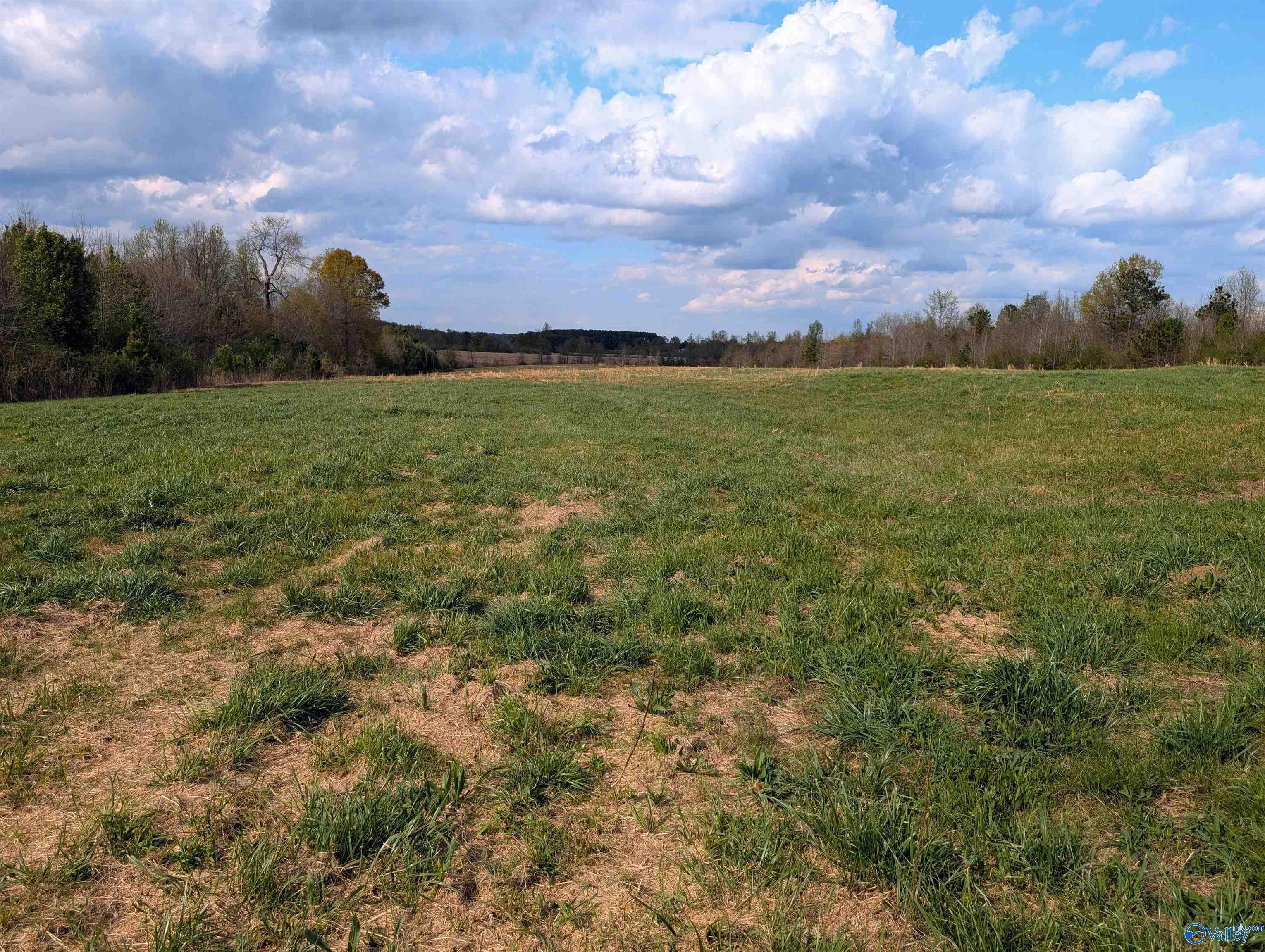 3440 County Road 4, Boaz, Alabama image 2