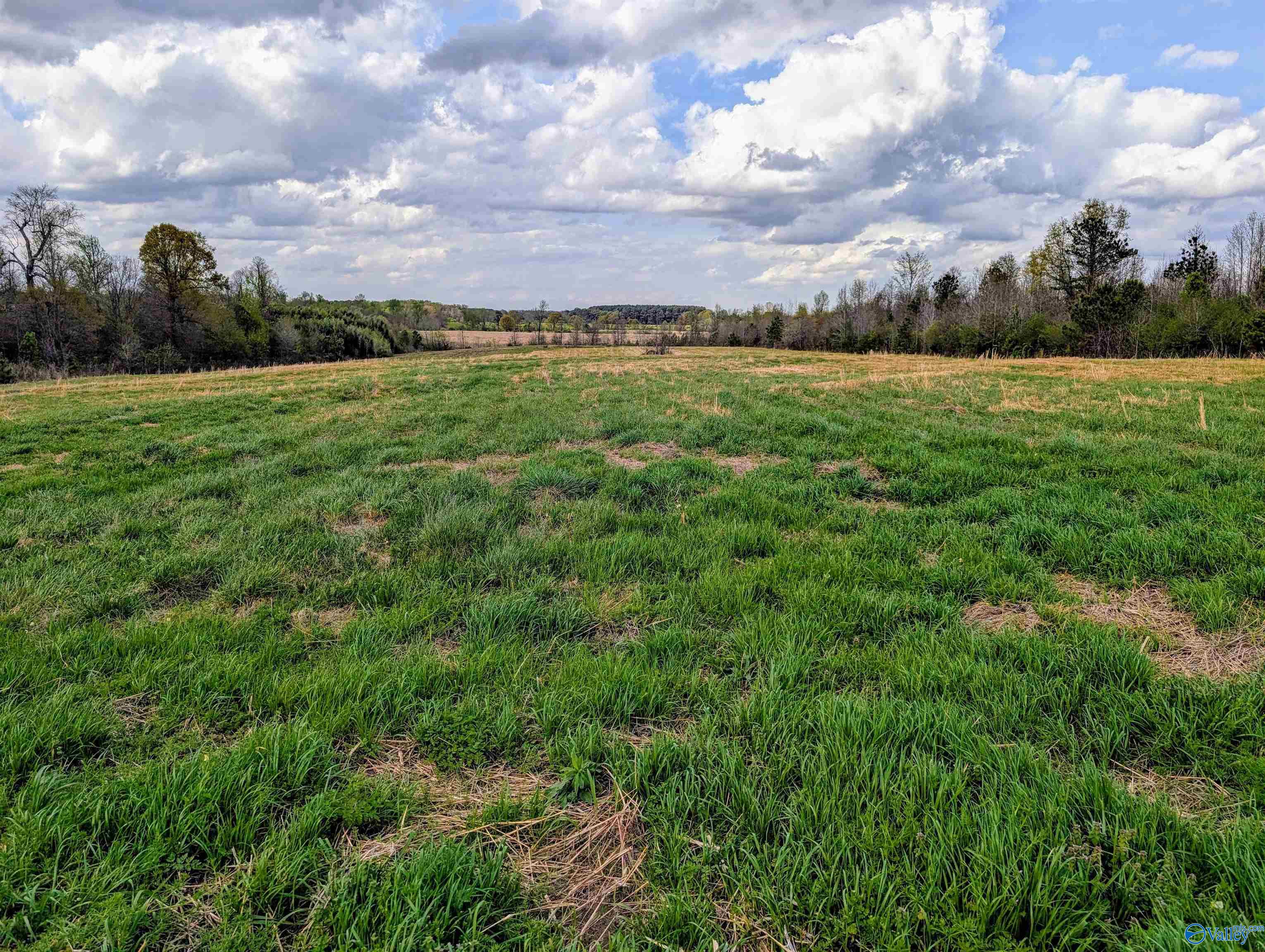 3440 County Road 4, Boaz, Alabama image 3