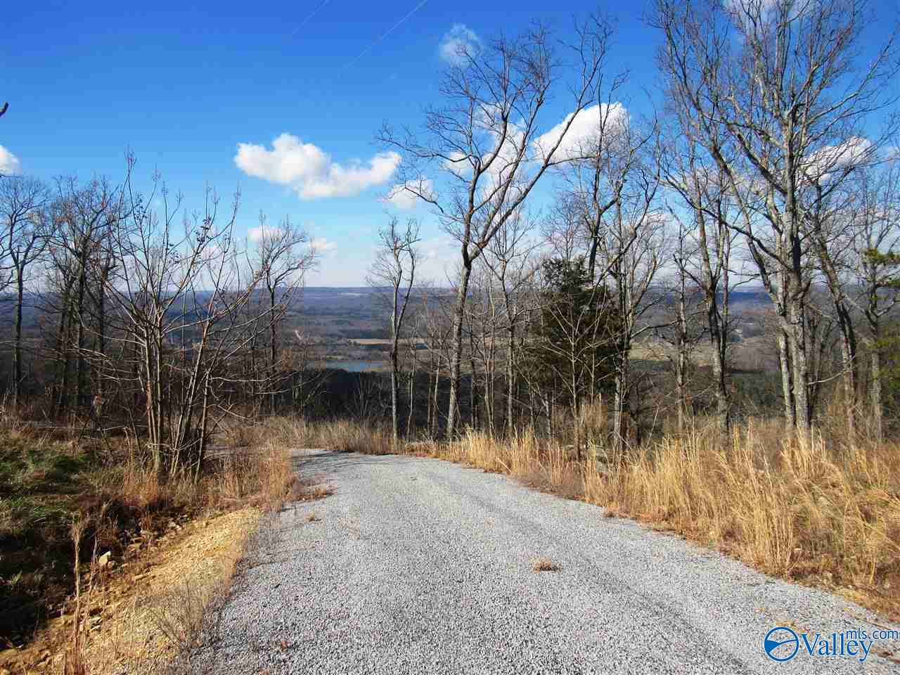 .98 Acres County Road 89, Mentone, Alabama image 7