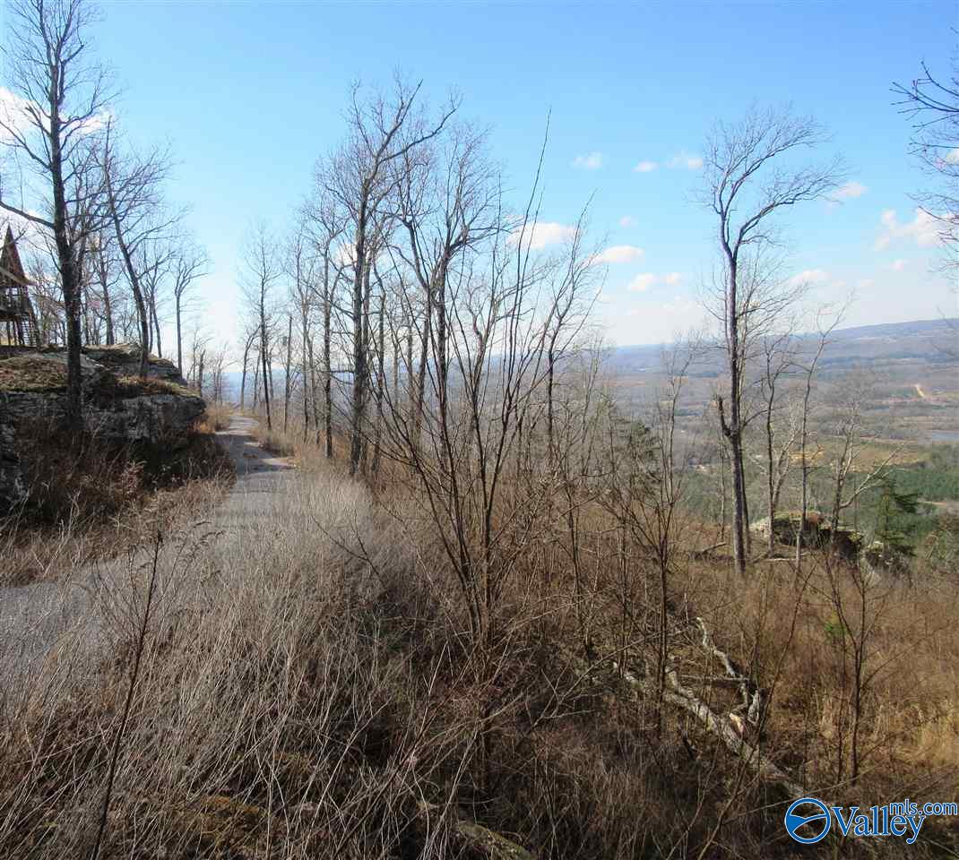 .98 Acres County Road 89, Mentone, Alabama image 18