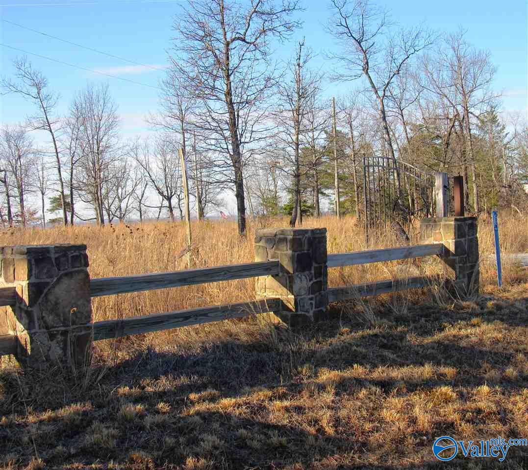 .98 Acres County Road 89, Mentone, Alabama image 6