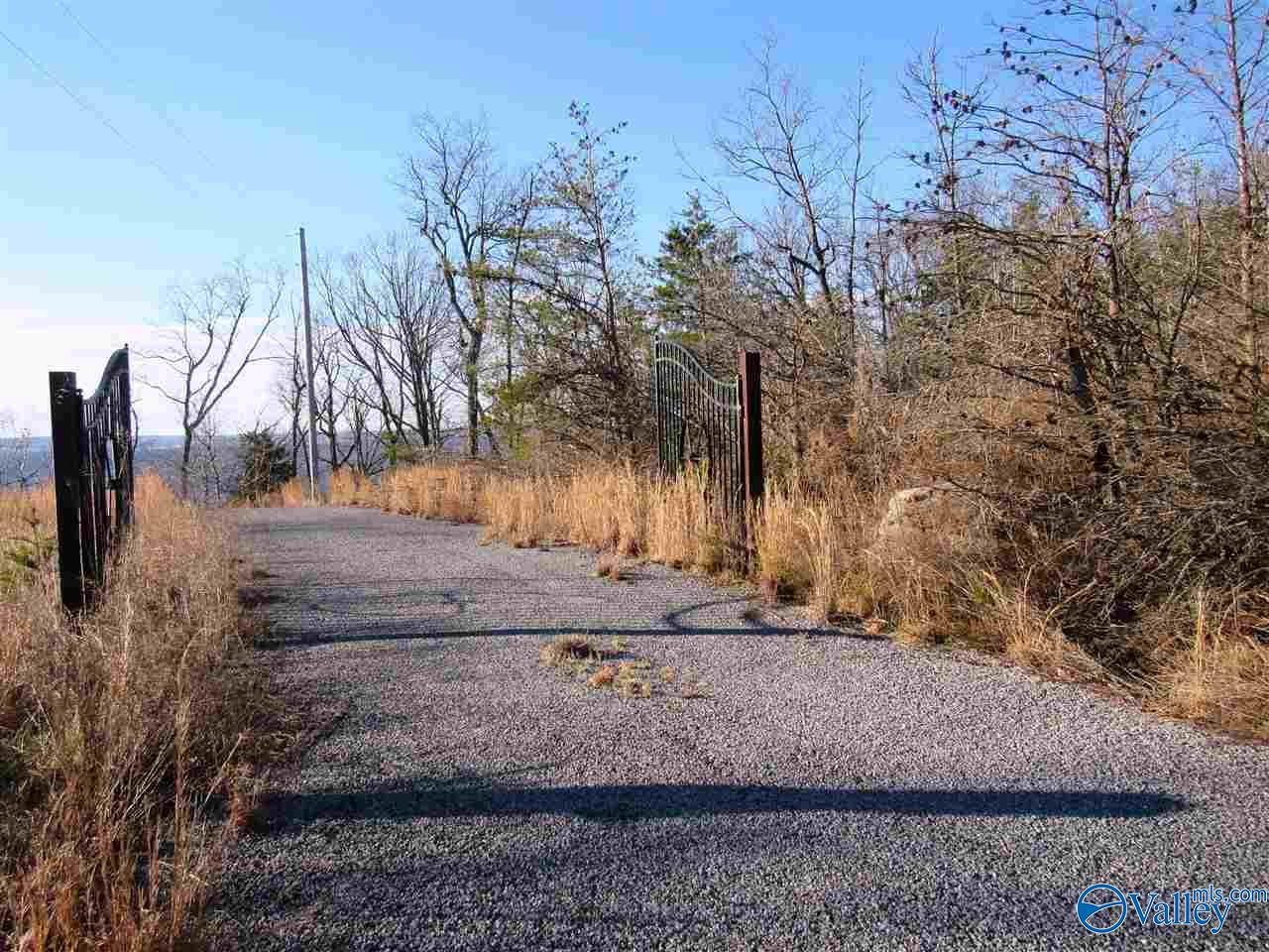 .98 Acres County Road 89, Mentone, Alabama image 4