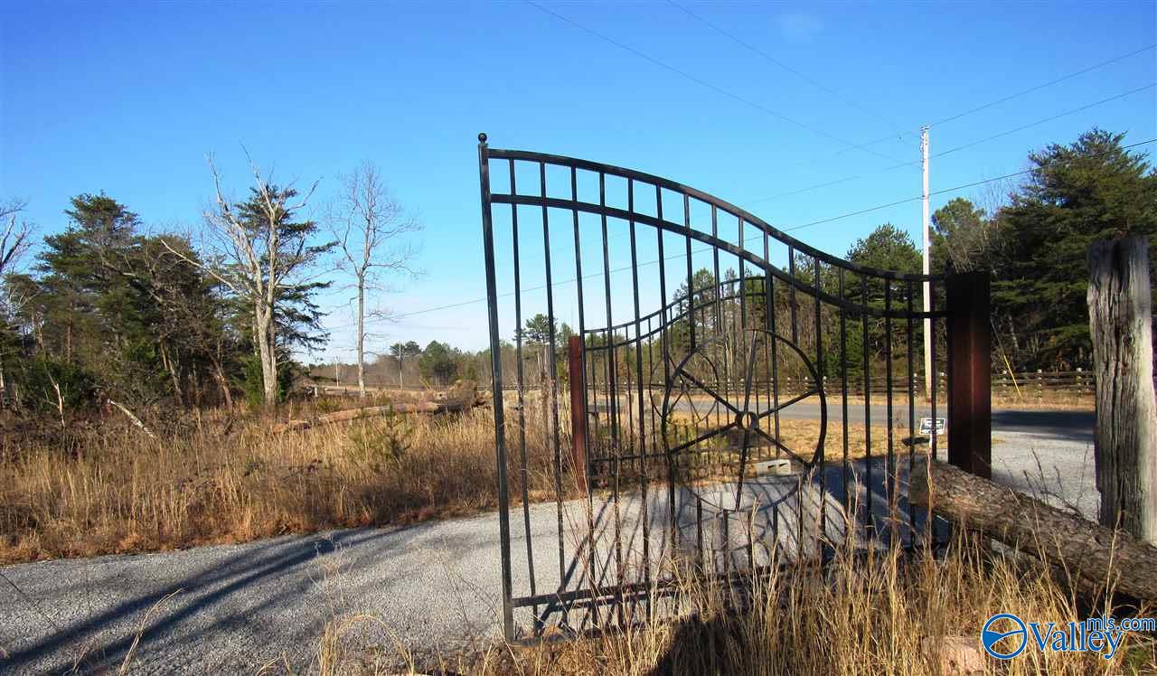 .98 Acres County Road 89, Mentone, Alabama image 5