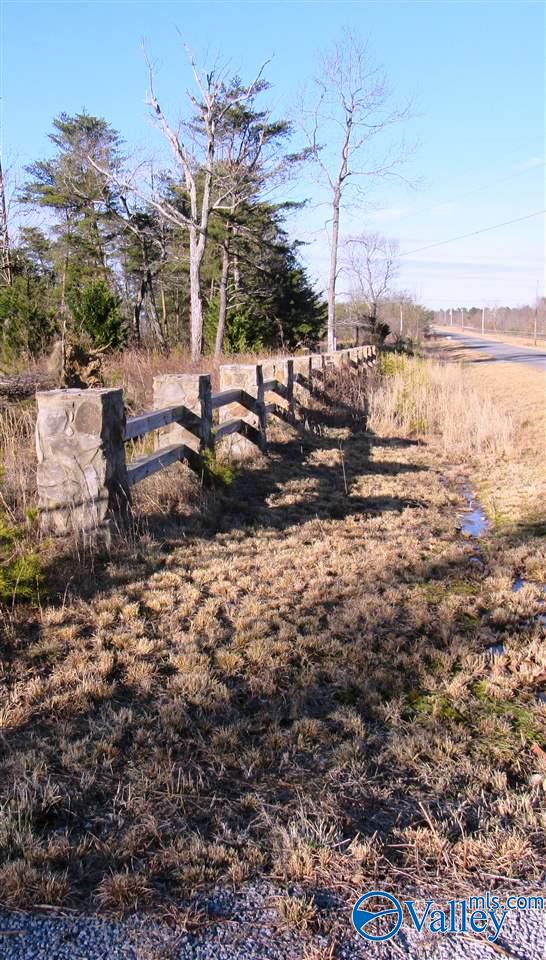 .98 Acres County Road 89, Mentone, Alabama image 16