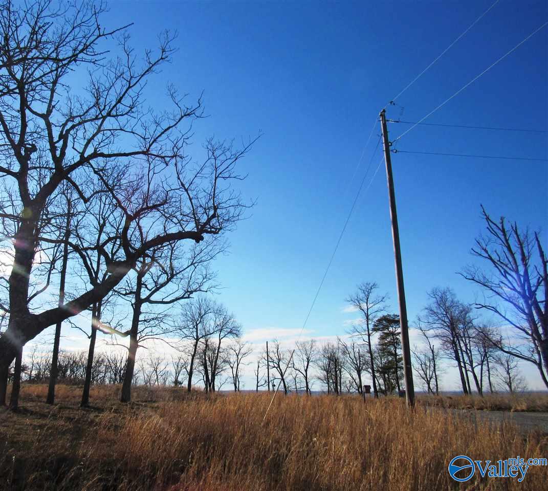 .98 Acres County Road 89, Mentone, Alabama image 2