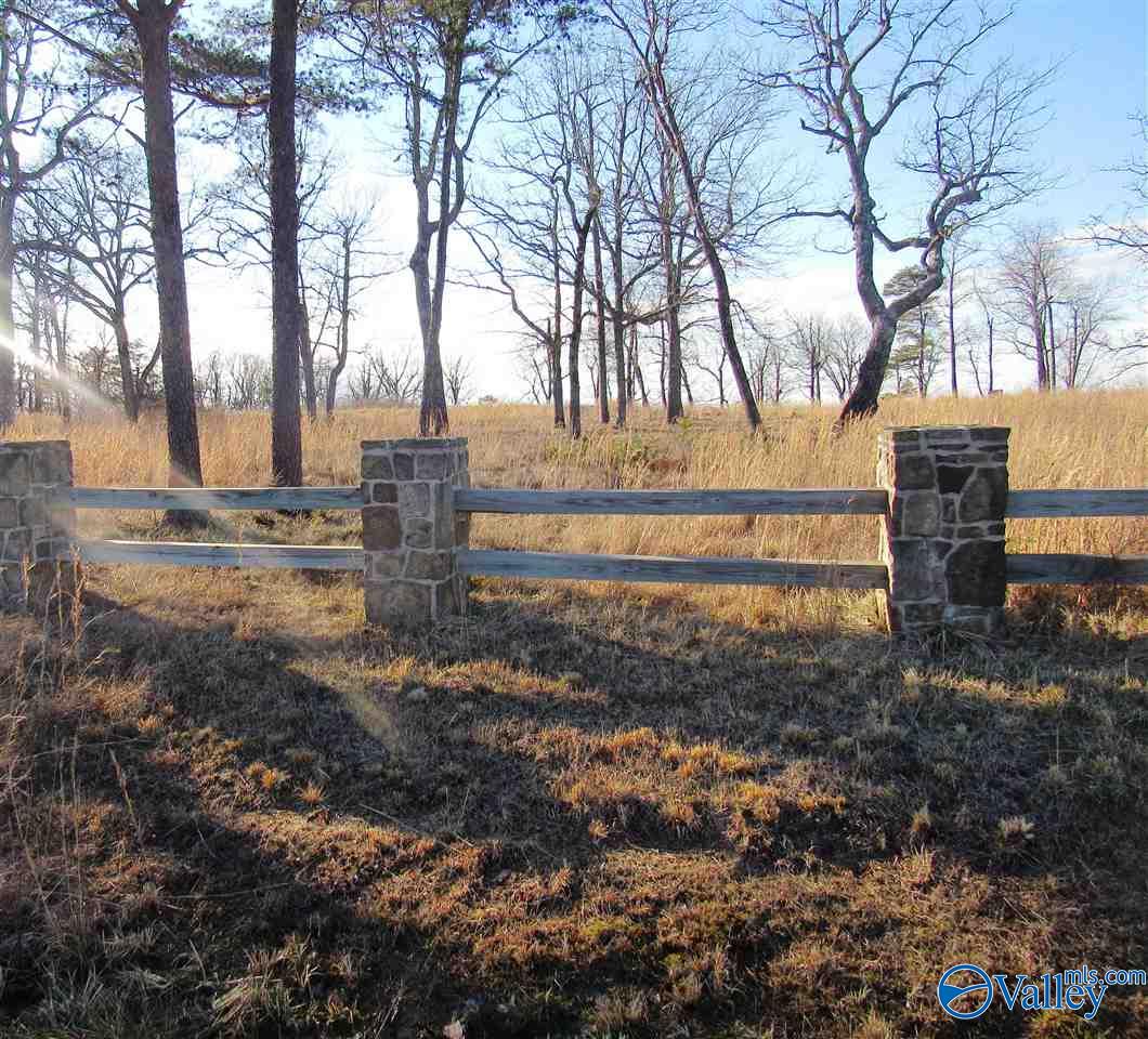 .98 Acres County Road 89, Mentone, Alabama image 8