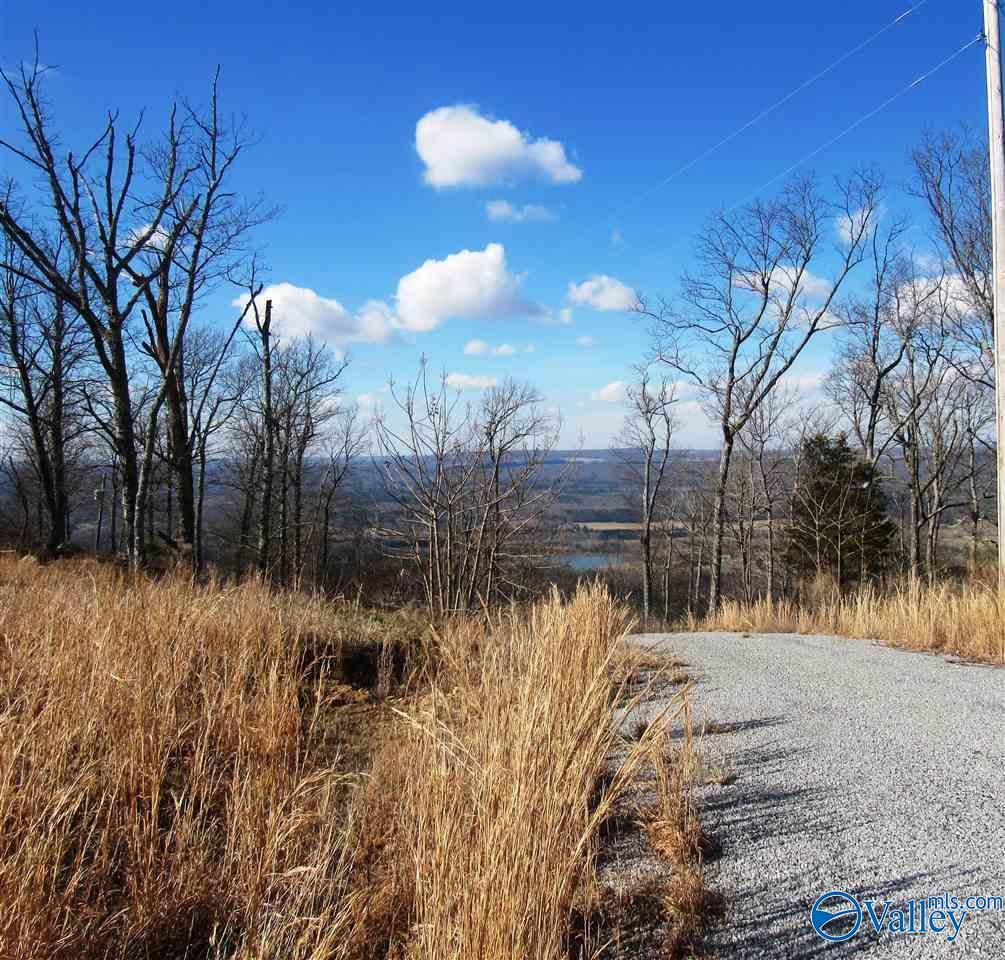 .98 Acres County Road 89, Mentone, Alabama image 15