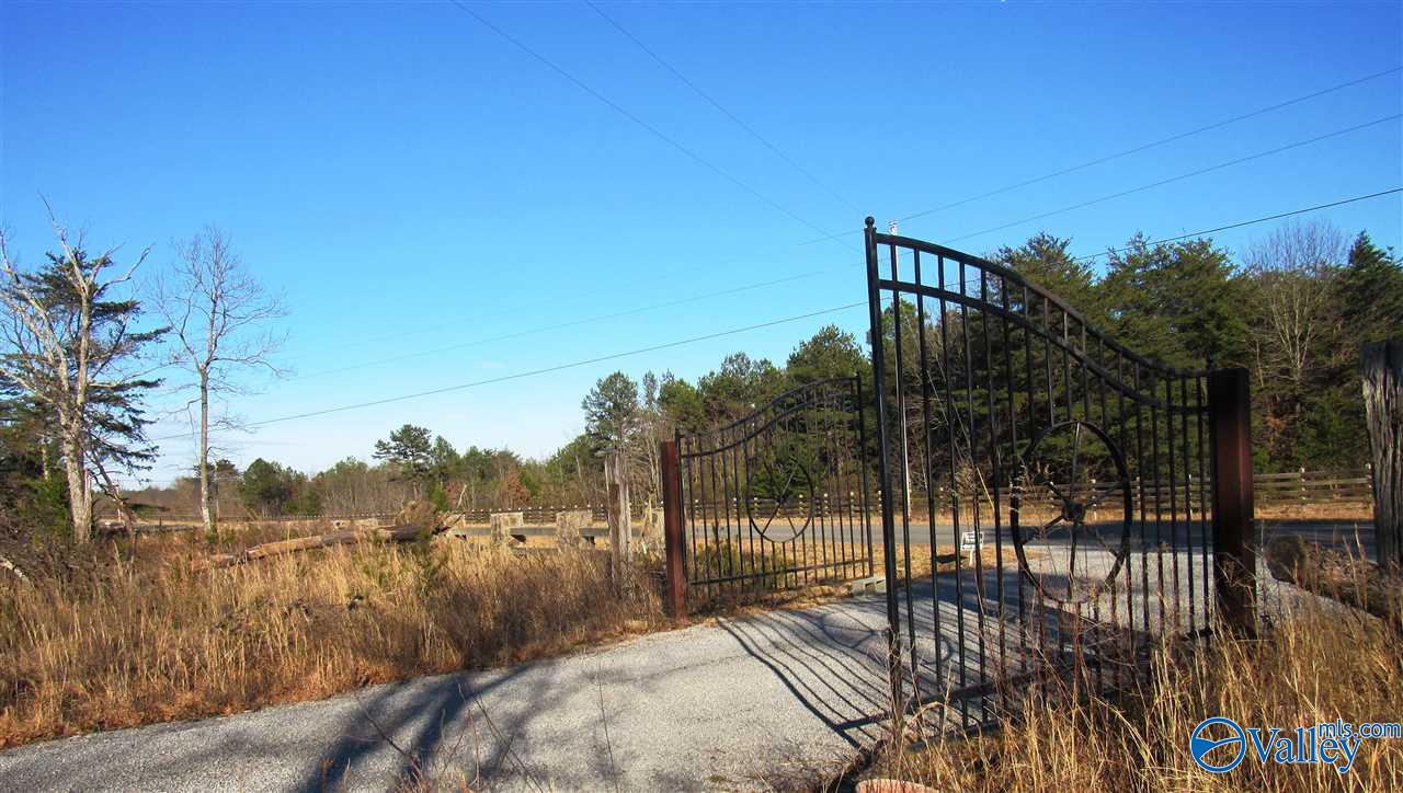 .98 Acres County Road 89, Mentone, Alabama image 1