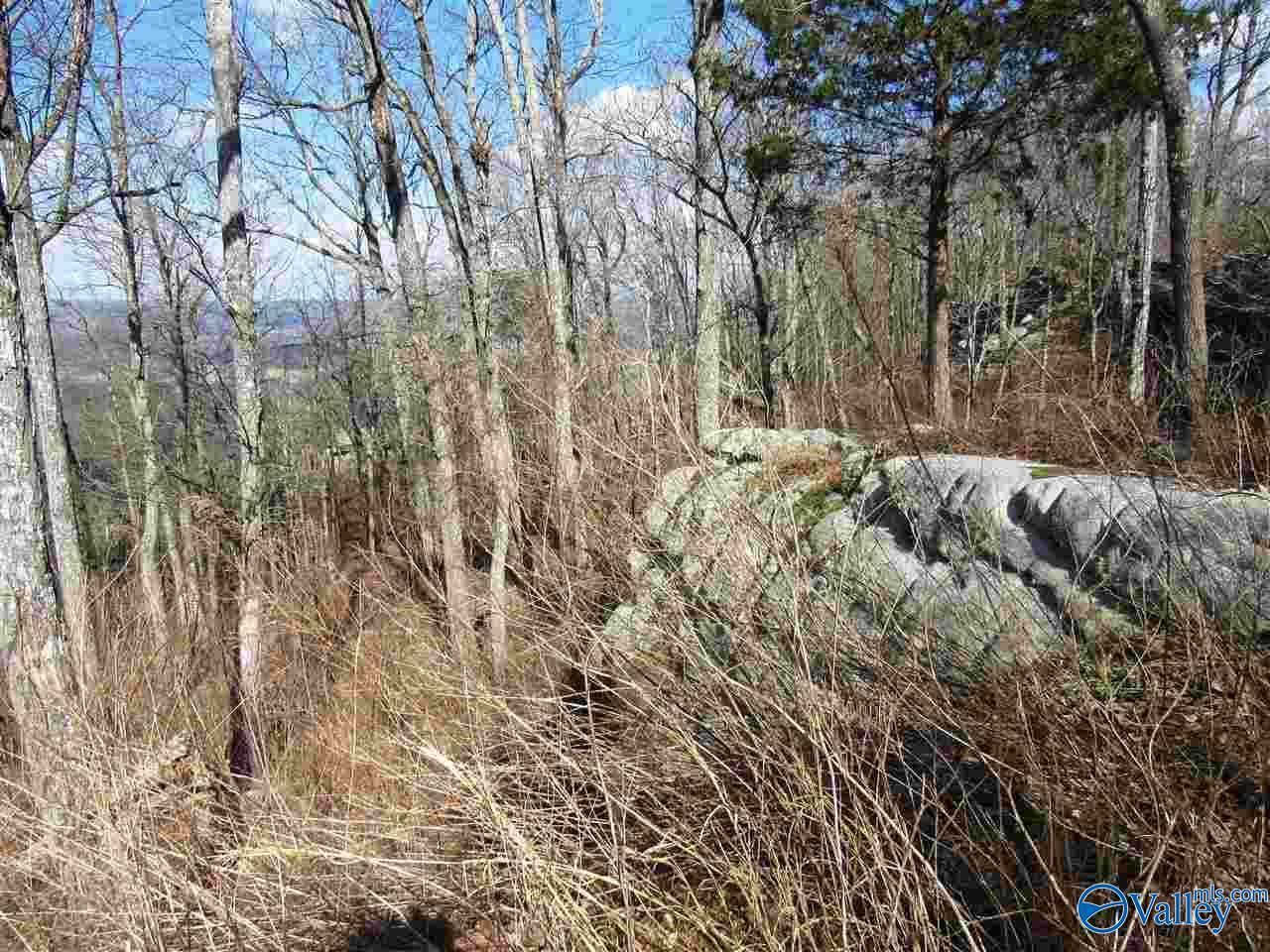 .98 Acres County Road 89, Mentone, Alabama image 25