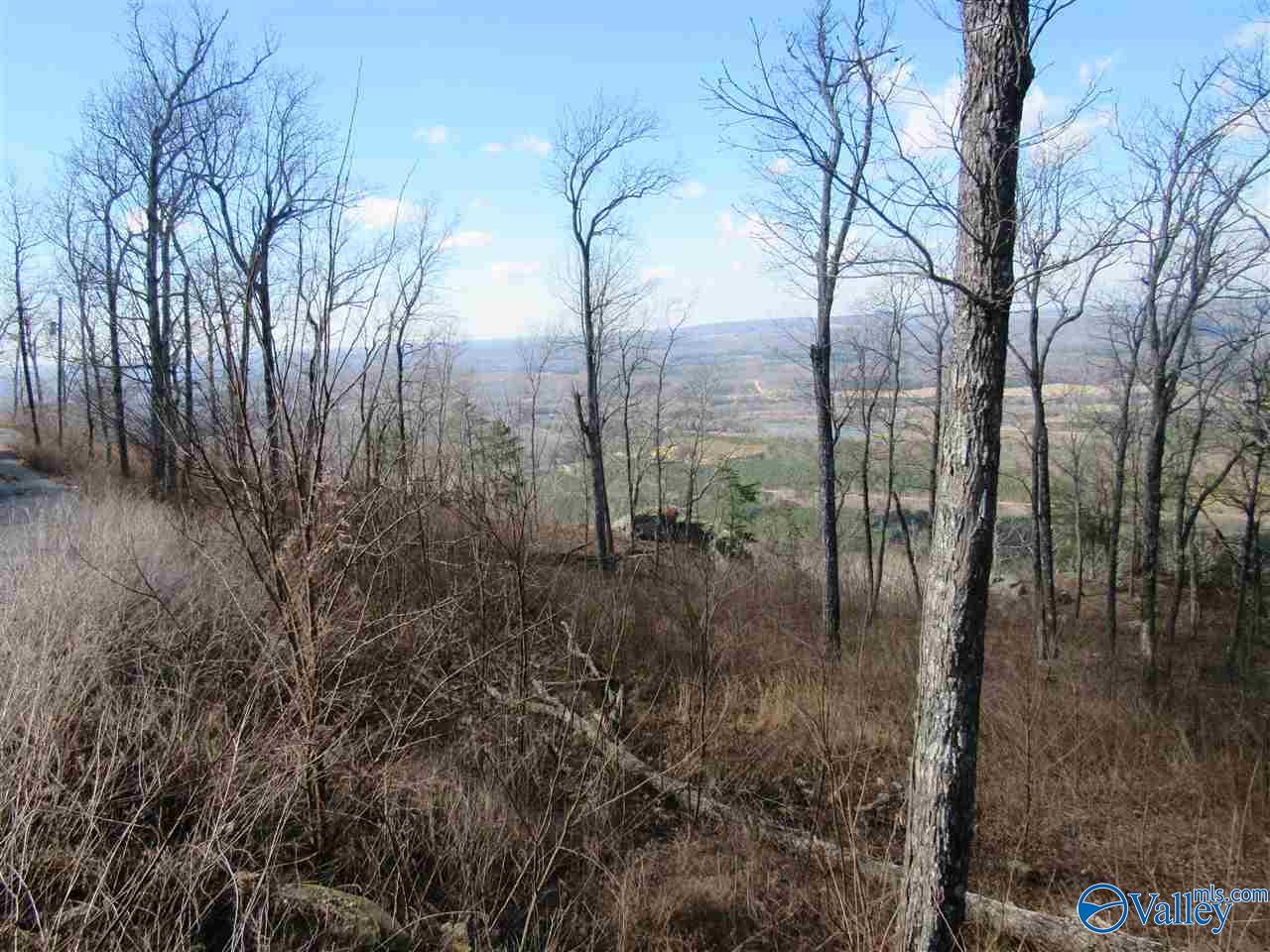 .98 Acres County Road 89, Mentone, Alabama image 20