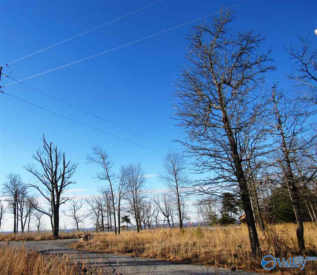 .98 Acres County Road 89, Mentone, Alabama image 9