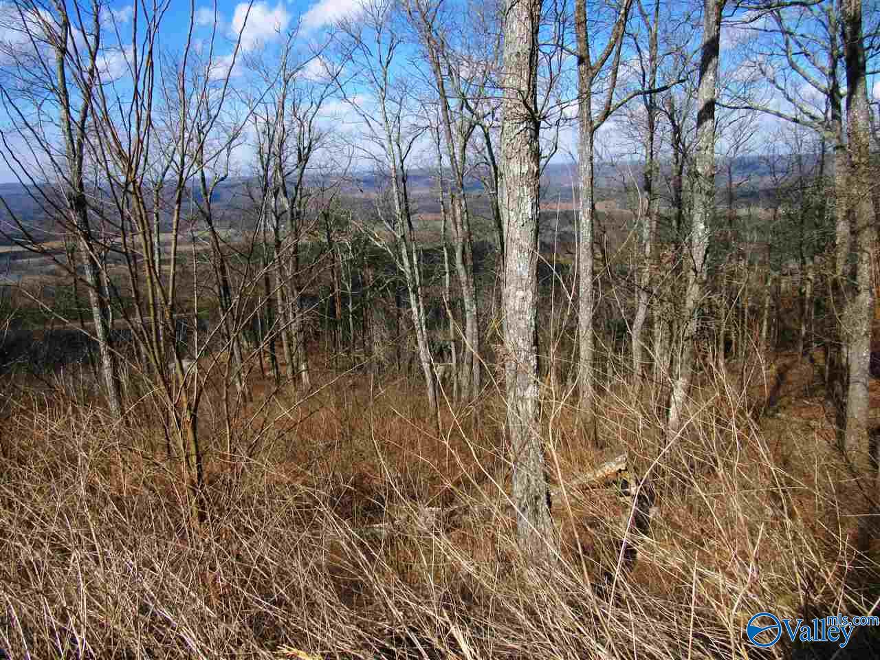 .98 Acres County Road 89, Mentone, Alabama image 24