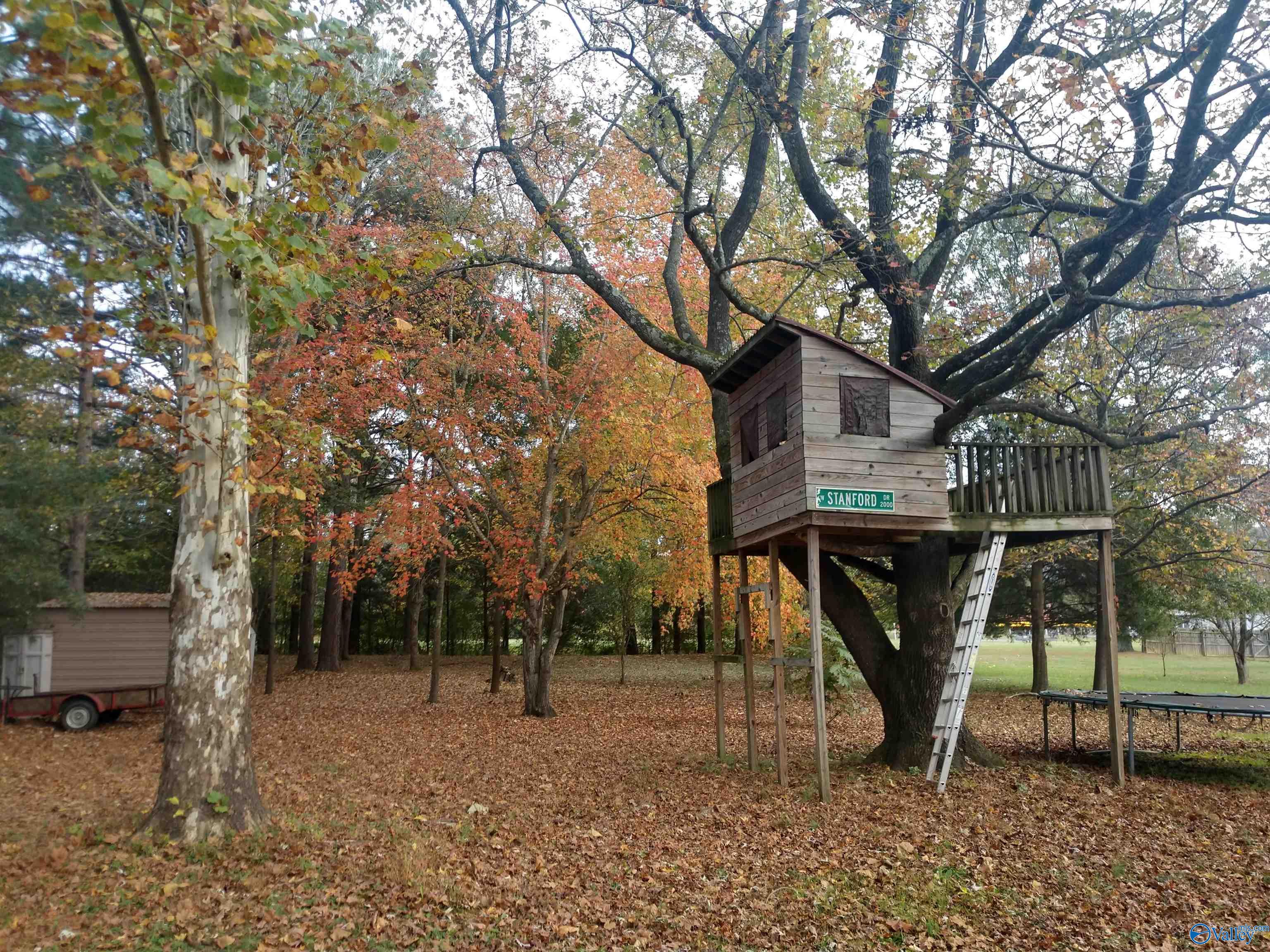 133 Plainview Drive, Owens Cross Roads, Alabama image 23