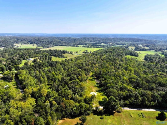 27720 EASTER FERRY RD, ELKMONT, AL 35620 - Image d13edfb972825de50afea80ef7b8419c/2541153872