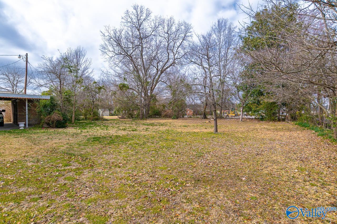 725 Sparkman Street, Hartselle, Alabama image 48