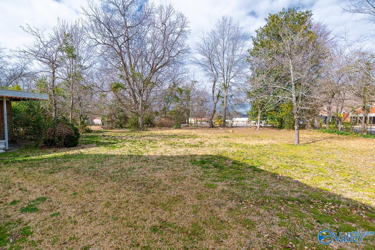 725 Sparkman Street, Hartselle, Alabama image 46
