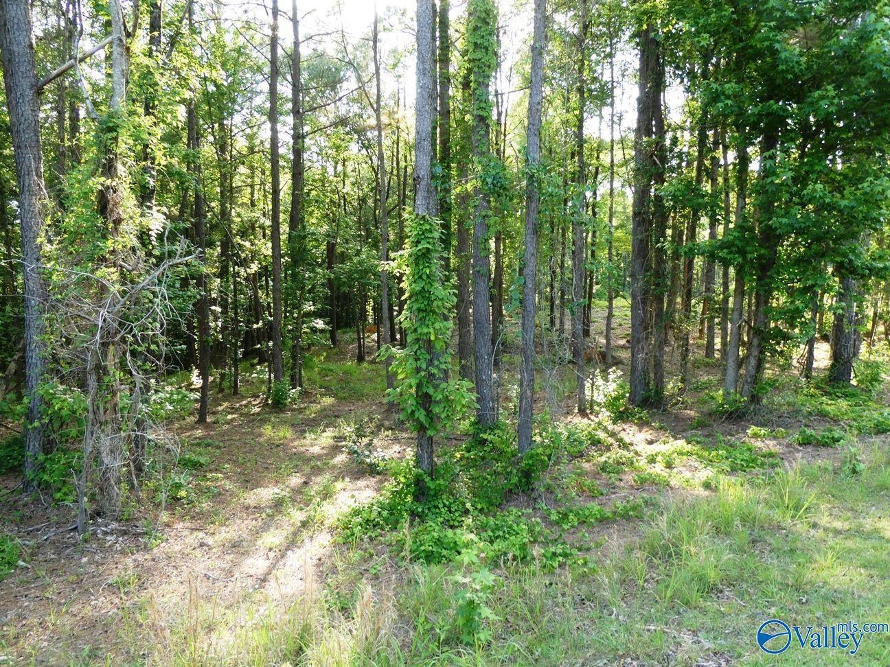 Lot 75 Harbor Lights Trail