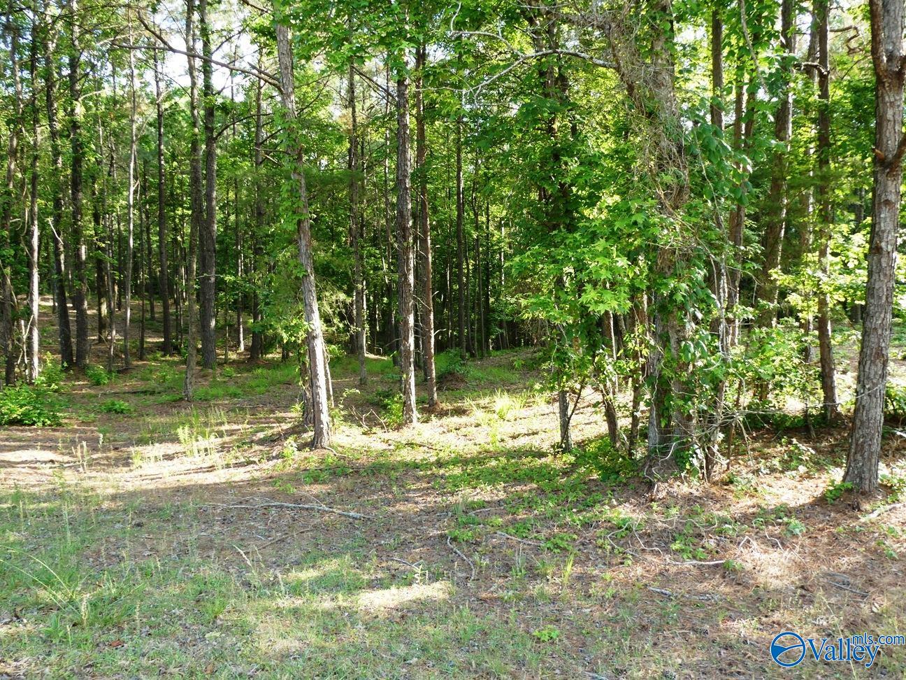 Lot 75 Harbor Lights Trail